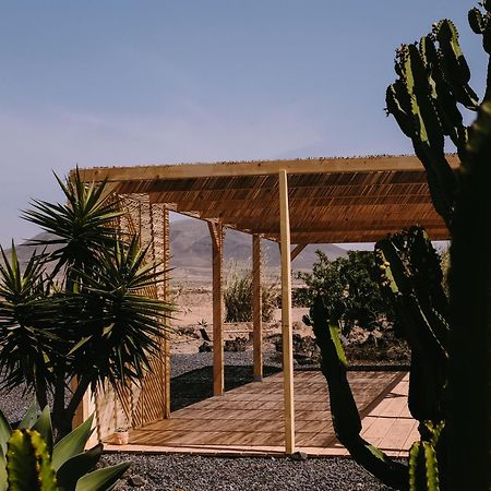 Hotel Surf & Yoga Retreats Fuerteventura Roque Esterno foto