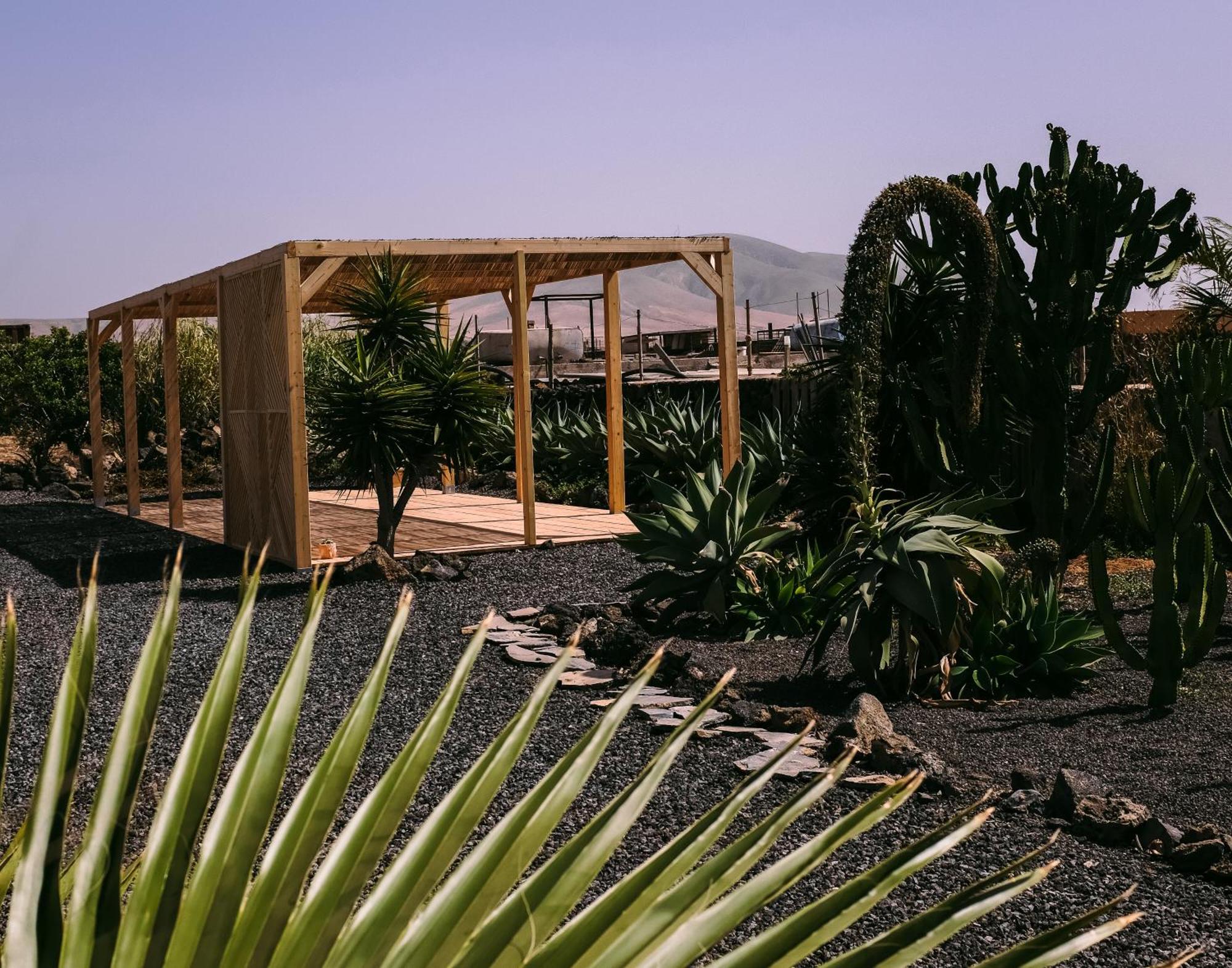 Hotel Surf & Yoga Retreats Fuerteventura Roque Esterno foto